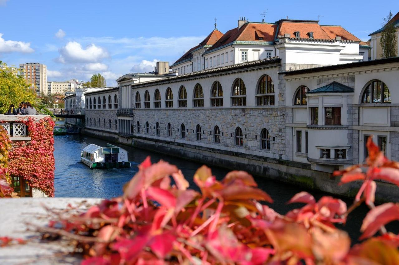 Apartment Villa Irena Great For A Family Holiday With Free Parking And Ev Station Ajdovscina Luaran gambar